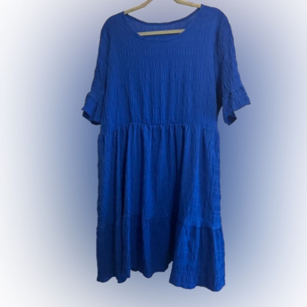 Ruffle sleeve Dress